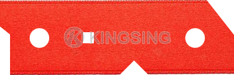 KINGSING