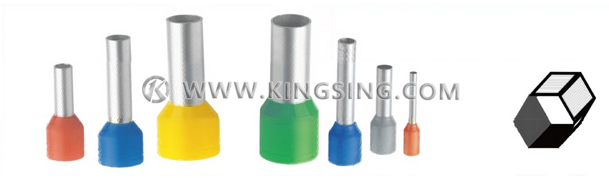 KINGSING