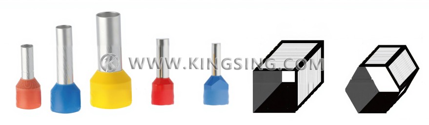 KINGSING