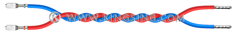 KINGSING