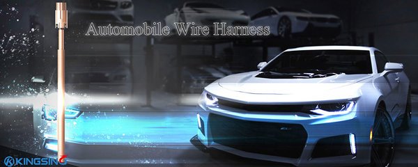 Automobile Harness
