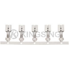 250'' Series Terminals