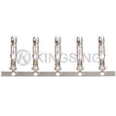 Bullet Terminals