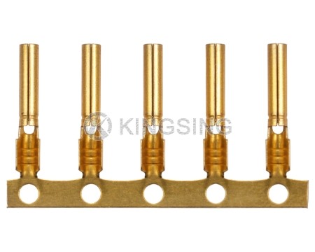 PIN Terminals
